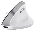 Raton Inalambrico Recargable Ergonomico Blanco Bayo Ii