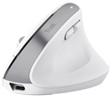 Raton Inalambrico Recargable Ergonomi Multidisp Blanco Bayo+