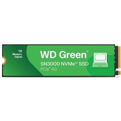 Western-Digital WDS100T4G0E 