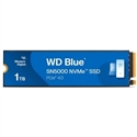 WDS100T4B0E